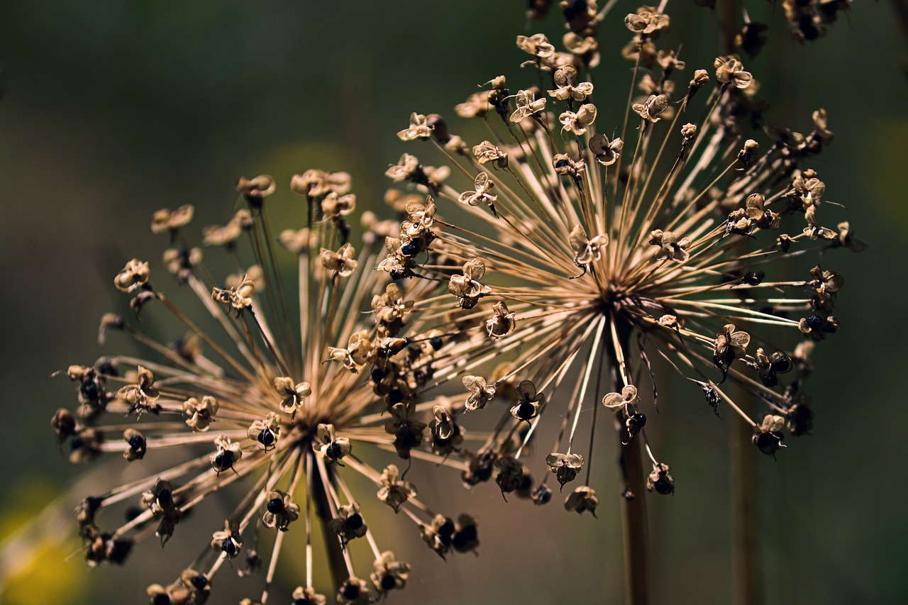 How to Prepare and Use Garden Mulch